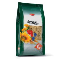 Padovan Avena Ovaz Decorticat 1 Kg - 1