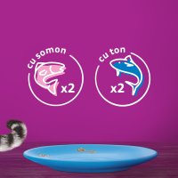 WHISKAS Selectii cu Pește, Somon si Ton, Plicuri Hrană Umedă pentru Pisici, Multipack 85g x 4 - 7