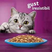 WHISKAS Selectii cu Pește, Somon si Ton, Plicuri Hrană Umedă pentru Pisici, Multipack 85g x 4 - 4