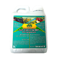 Sulf Calcic Tip MIF 1L - Mifalchim - 1