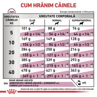 ROYAL CANIN VD Cardiac Dieta Veterinara pentru Caini XS-XL, Hrană Uscată pentru Sanatatea Cardiovasculara, 14kg - 6