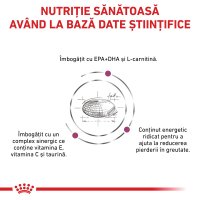ROYAL CANIN VD Cardiac Dieta Veterinara pentru Caini XS-XL, Hrană Uscată pentru Sanatatea Cardiovasculara, 14kg - 7