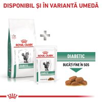 ROYAL CANIN VD Diabetic, hrană uscată pentru pisici cu diabet, 400g - 9