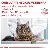 ROYAL CANIN VD Diabetic, hrană uscată pentru pisici cu diabet, 400g - 8