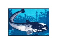 Covor Delphin CatchME! Somn, 60x40cm - 1