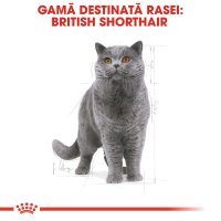 ROYAL CANIN British Shorthair Adult, hrană uscată pisici, 400g - 4