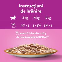 WHISKAS Tasty Mix - Crema Delicioasa cu Miel si Curcan pentru Pisici, 85g - 8