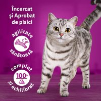 WHISKAS Tasty Mix - Crema Delicioasa cu Miel si Curcan pentru Pisici, 85g - 9