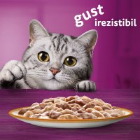 WHISKAS Tasty Mix - Crema Delicioasa cu Miel si Curcan pentru Pisici, 85g - 5