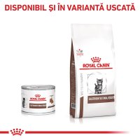 ROYAL CANIN VD Gastrointestinal Kitten Mousse - Dietă Veterinară pentru Pisici Junior, 195g - 7