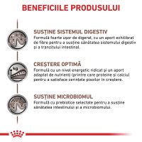 ROYAL CANIN VD Gastrointestinal Kitten Mousse - Dietă Veterinară pentru Pisici Junior, 195g - 3