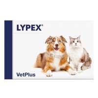 VETPLUS Lypex pentru Digestie - Supliment pentru Câini XS-XL, 60 Capsule - 2