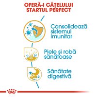 ROYAL CANIN Golden Retriever Puppy, hrană uscată câini junior, 1kg - 5