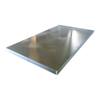 Tabla zincata dreapta 2000 mm x 1000 mm x 0.20 mm - 1