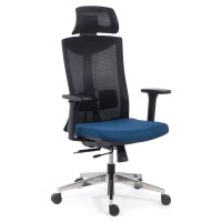 Scaun SYYT 9501 Ergonomic Multifunctional Albastru cu Reglaje Diverse - 1