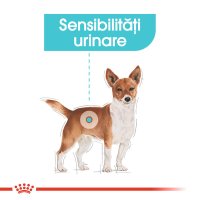 ROYAL CANIN Mini Urinary Care - Hrana uscata pentru caini, suport pentru sanatatea tractului urinar, 1 kg - 4
