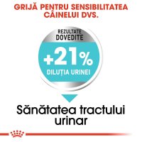 ROYAL CANIN Mini Urinary Care - Hrana uscata pentru caini, suport pentru sanatatea tractului urinar, 1 kg - 5
