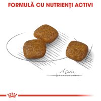 ROYAL CANIN Mini Urinary Care - Hrana uscata pentru caini, suport pentru sanatatea tractului urinar, 1 kg - 6