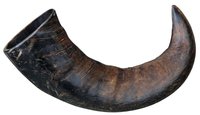 Corn Natural Mare de Bivol 27743 - 1