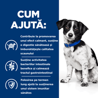 HILL'S Prescription Diet i/d Digestive Care Stress Mini, Pui, dietă veterinară câini, hrană uscată, sensibilități digestive HILL'S Prescription Diet i/d Digestive Care Stress Mini, Pui, dietă veterinară câini, hrană uscată, sistem digestiv, 3kg - 8