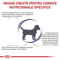 ROYAL CANIN VD Dental Small Dog XS-S, hrana uscata veterinara pentru sensibilitati dentare, 1.5 kg - 3