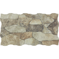 Placa de perete din portelan Canyon Oxide 25x45 mm, finisaj mat - 3