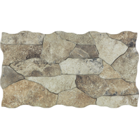 Placa de perete din portelan Canyon Oxide 25x45 mm, finisaj mat - 2