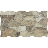 Placa de perete din portelan Canyon Oxide 25x45 mm, finisaj mat - 1