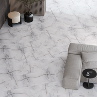 Gresie portelanata rectificata Anti Sky Silver  60X60  lucioasa - 3