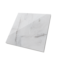 Gresie portelanata rectificata Anti Sky Silver  60X60  lucioasa - 5