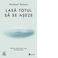 Lasa totul sa se aseze - carte de Iulia Anania si Michael Galyon - 1