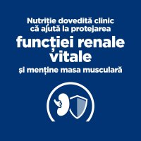 HILL'S Prescription Diet k/d Kidney Care, Vită, dietă veterinară pisici, plic hrană umedă, sistem renal, 85g x 12buc - 9