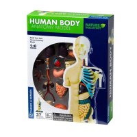 Set educativ STEM resigilat pentru explorarea anatomiei corpului uman - 1