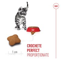 ROYAL CANIN Kitten Sterilised, hrană uscată pisici sterilizate junior, 400g - 6