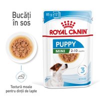 Royal Canin Mini Puppy hrana umeda caine junior (in sos), 12 x 85 g - 1