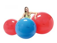 Minge fizioterapeutica Gymnic Fizio Albastru diametru 95 cm - 1