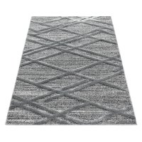Covor Pisa Gri V5 80x250 cm - Eleganta si Comfort pentru Orice Spatiu - 3