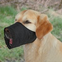 Botnita Nylon XS-S J. R. Terrier 16 cm (14-28 cm) 1921 - 1