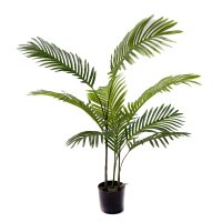 Planta decorativa de gradina Areca Pako World Negru 80x80x80 cm - 1