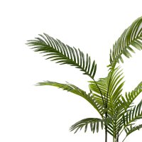 Planta decorativa de gradina Areca Pako World Negru 80x80x80 cm - 2