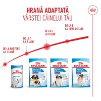 ROYAL CANIN Giant Puppy, hrană uscată câini junior, etapa 1 de creștere, 15kg - 10