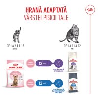 ROYAL CANIN Kitten Sterilised, hrană uscată pisici sterilizate junior, 2kg - 11