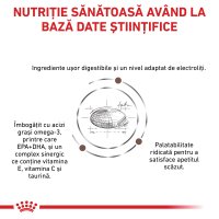 ROYAL CANIN VD Gastrointestinal Moderate Calorie 2kg - Hrană Uscată pentru Pisici cu Probleme Digestive - 7