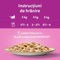 WHISKAS Tasty Mix Creamy Creations, hrana umeda pentru pisici cu pui si legume, miel si curcan, in sos, 12 x 85 g - 3
