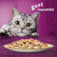 WHISKAS Tasty Mix Creamy Creations, hrana umeda pentru pisici cu pui si legume, miel si curcan, in sos, 12 x 85 g - 6