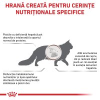 ROYAL CANIN VD Hepatic - Hrană Uscată pentru Pisici, Dietă Veterinară cu Suport Hepatic, 2kg - 3