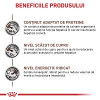 ROYAL CANIN VD Hepatic - Hrană Uscată pentru Pisici, Dietă Veterinară cu Suport Hepatic, 2kg - 4