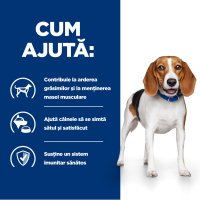 HILL'S Prescription Diet r/d Weight Loss pentru caini, Pui, 10kg - Hrană uscată pentru scădere în greutate - 7