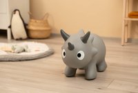 Saritor gonflabil pentru copii de la 18luni,maxim 25kg,material flexibil de inalta calitate,pompa si ac incluse Toyz dinozaurul Dinu Grey - 10