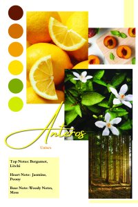 Anteros by Patric, apa de parfum unisex, 100 ml - 3